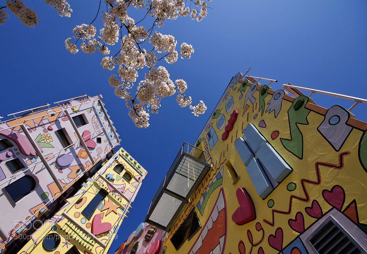Sony Alpha DSLR-A300 sample photo. Happy rizzi house photography