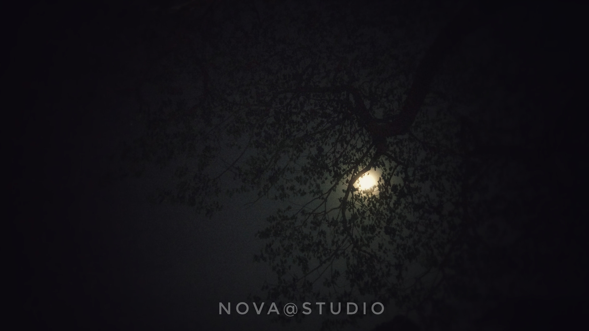 Xiaomi MI 5 sample photo. The moon photography
