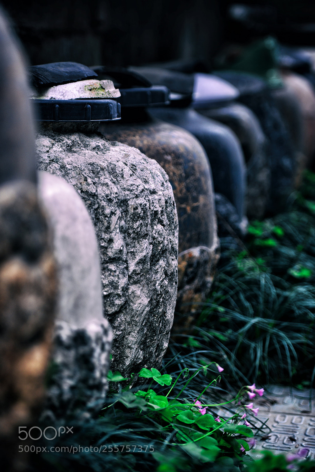 Nikon D800 sample photo. Can photography