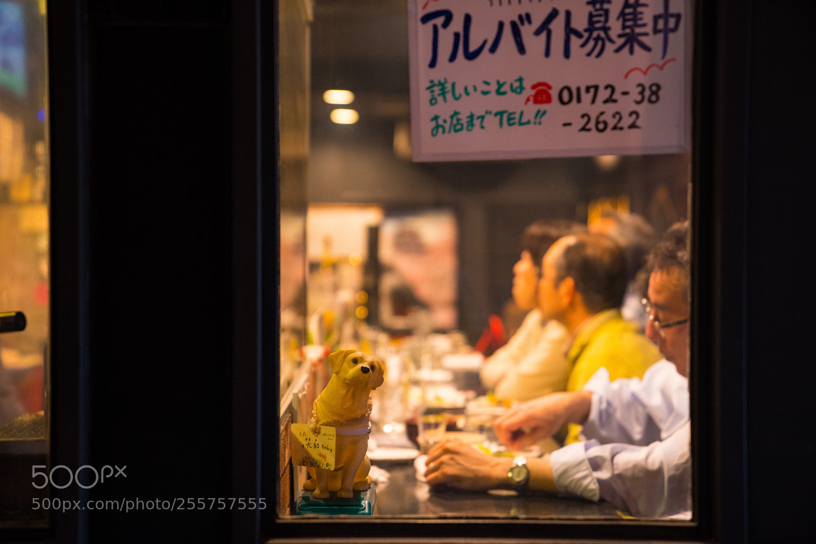 Sony a7R II sample photo. Untitled photography