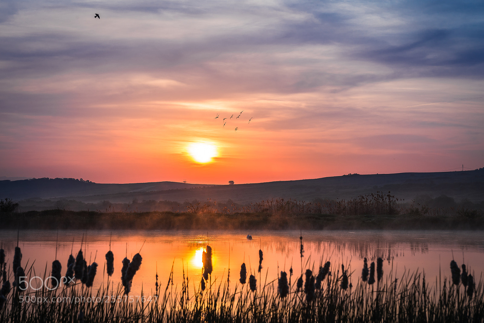 Nikon D610 sample photo. Morning light and fog . photography