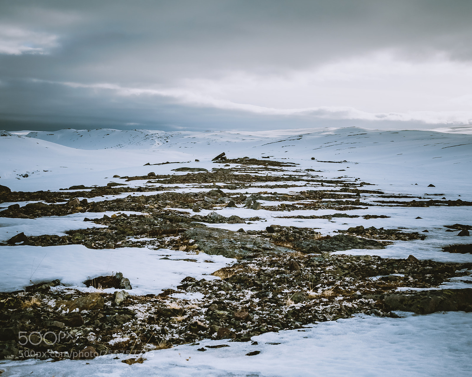 Olympus OM-D E-M5 II sample photo. Winter is going away ... photography