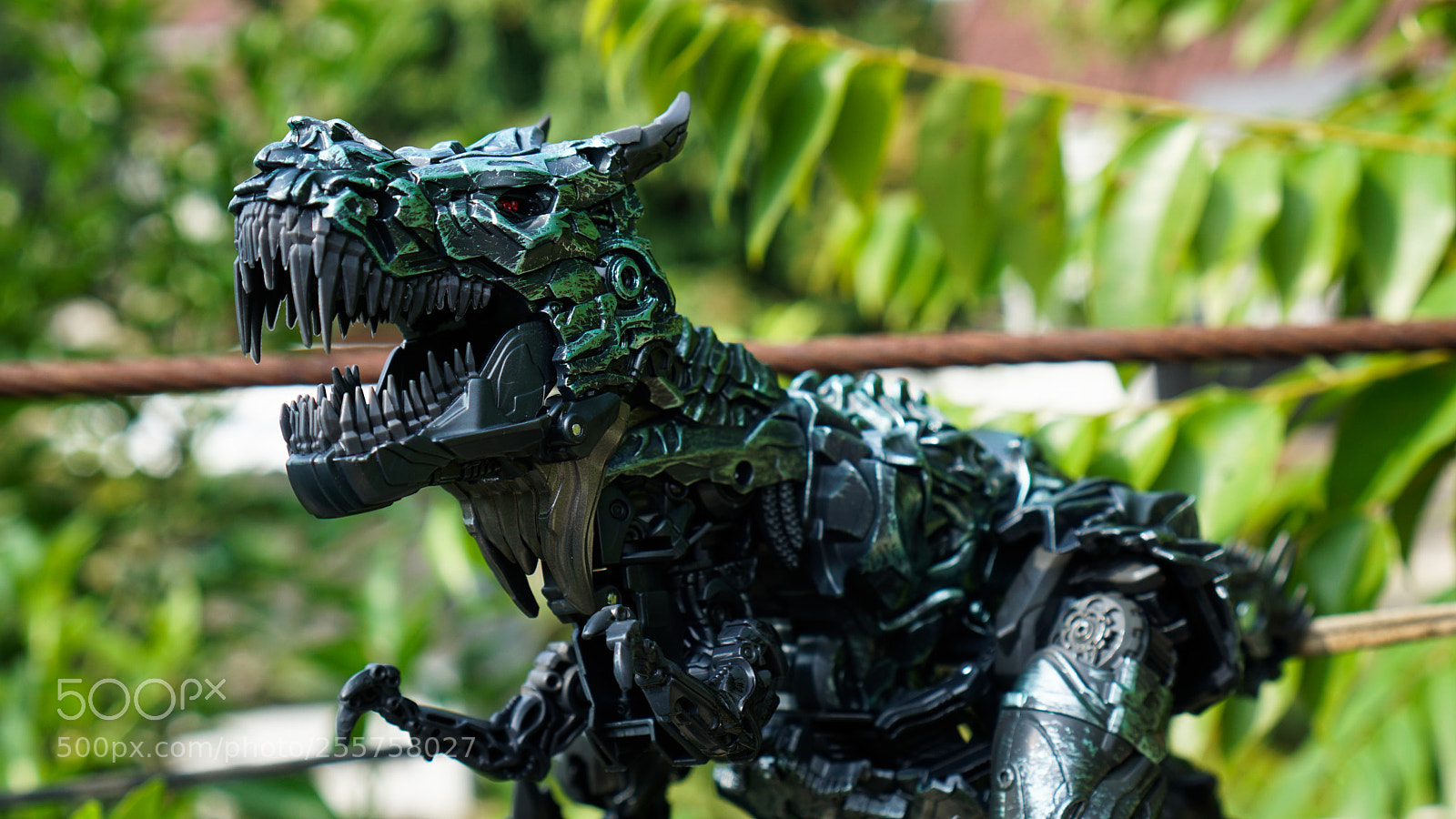 Sony a6000 sample photo. Grimlock photography