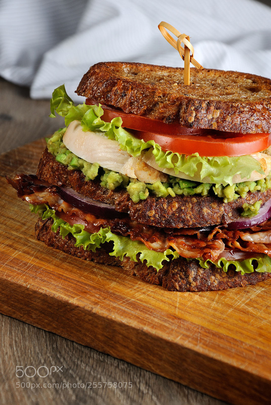Nikon D90 sample photo. Double sandwich with chicken photography
