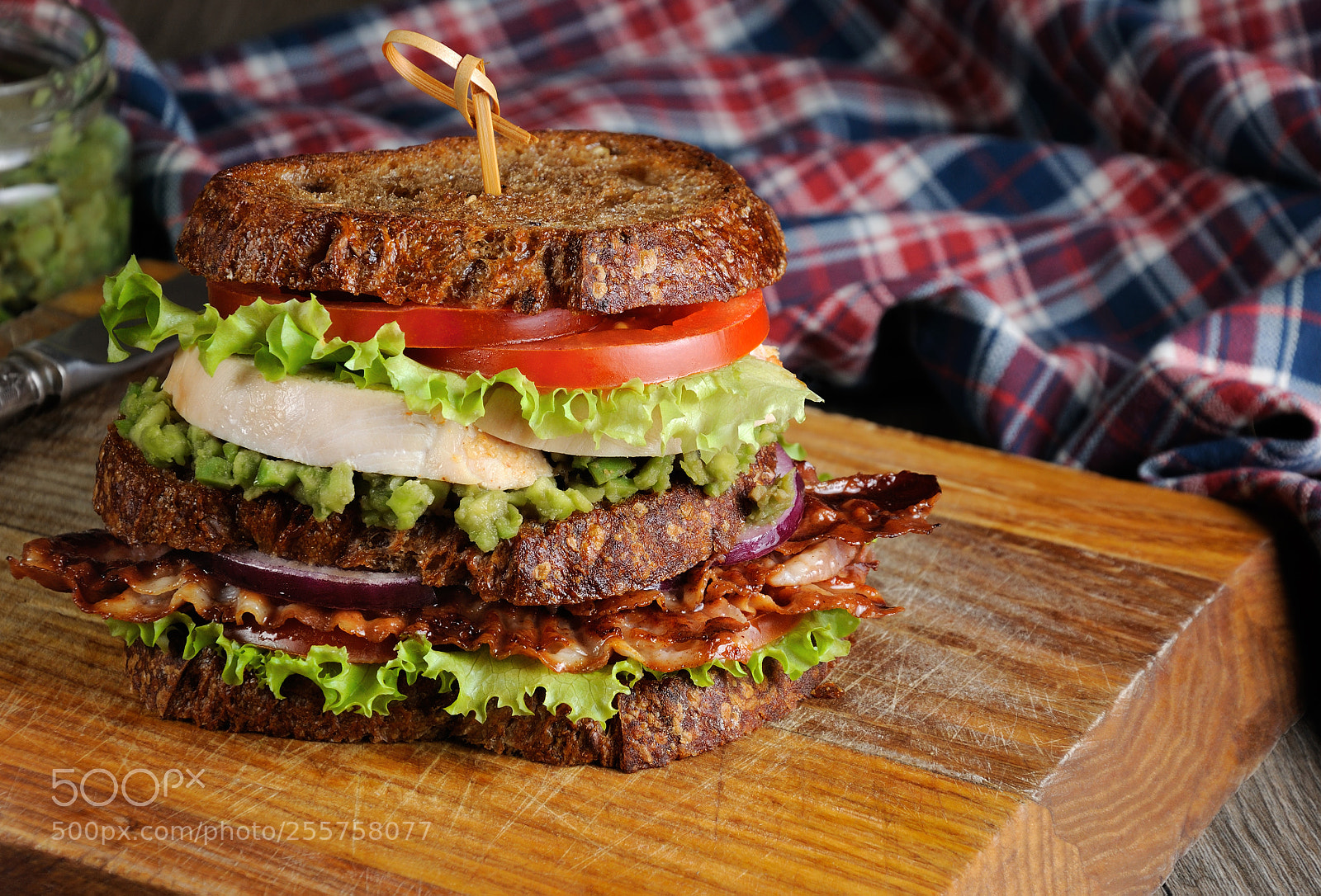 Nikon D90 sample photo. Double sandwich with chicken photography