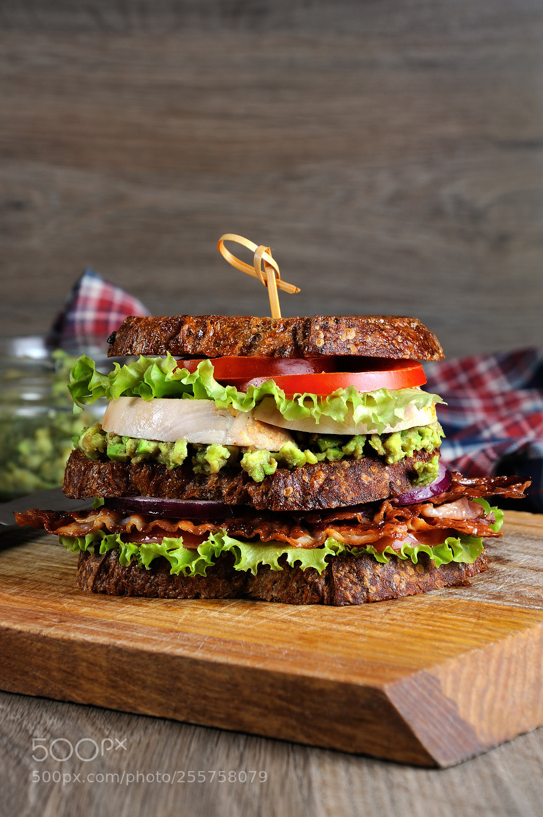 Nikon D90 sample photo. Double sandwich with chicken photography