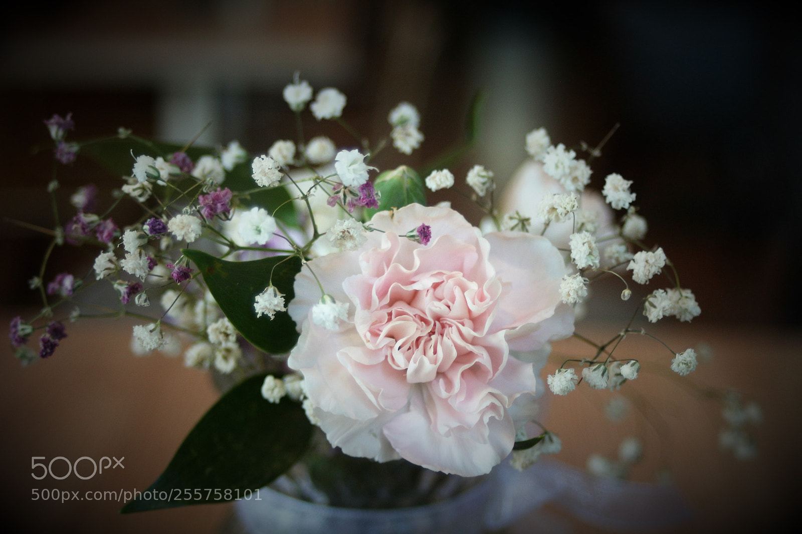 Canon EOS 100D (EOS Rebel SL1 / EOS Kiss X7) sample photo. Still life in vienna photography