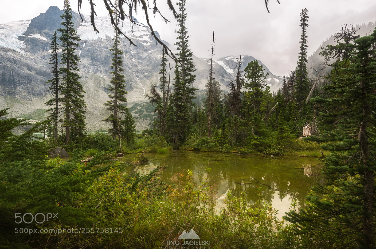 Nikon D800 sample photo. Upper joffre lake photography