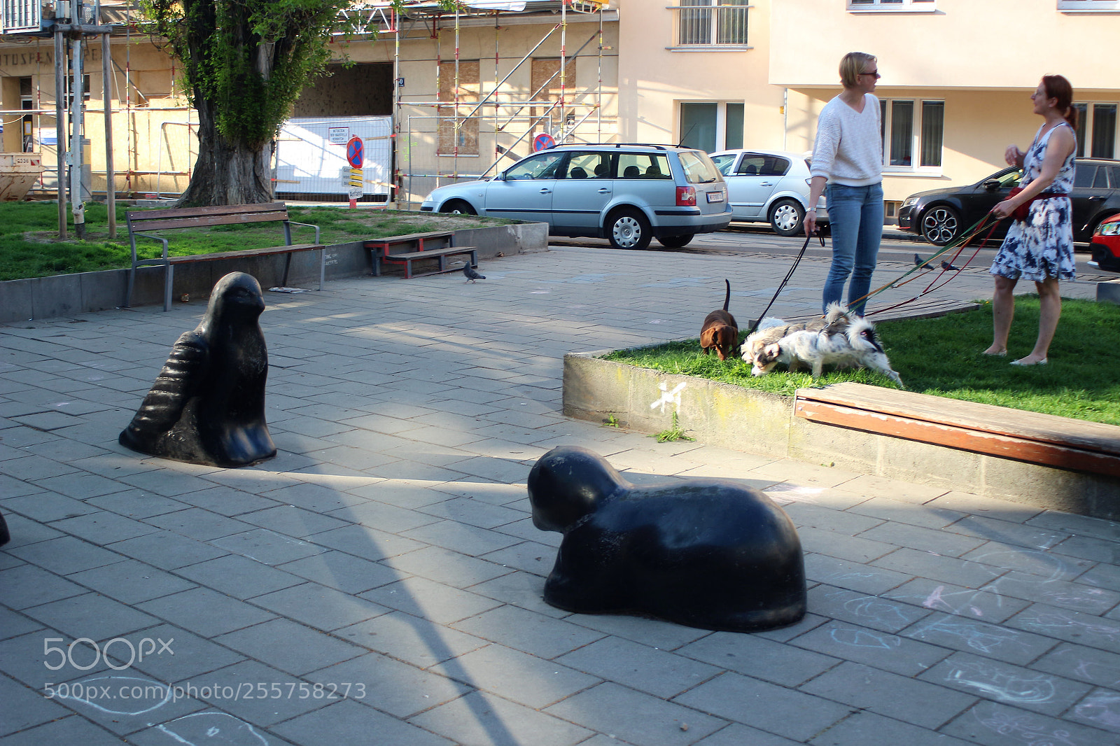 Canon EOS 100D (EOS Rebel SL1 / EOS Kiss X7) sample photo. A conversation of dog photography
