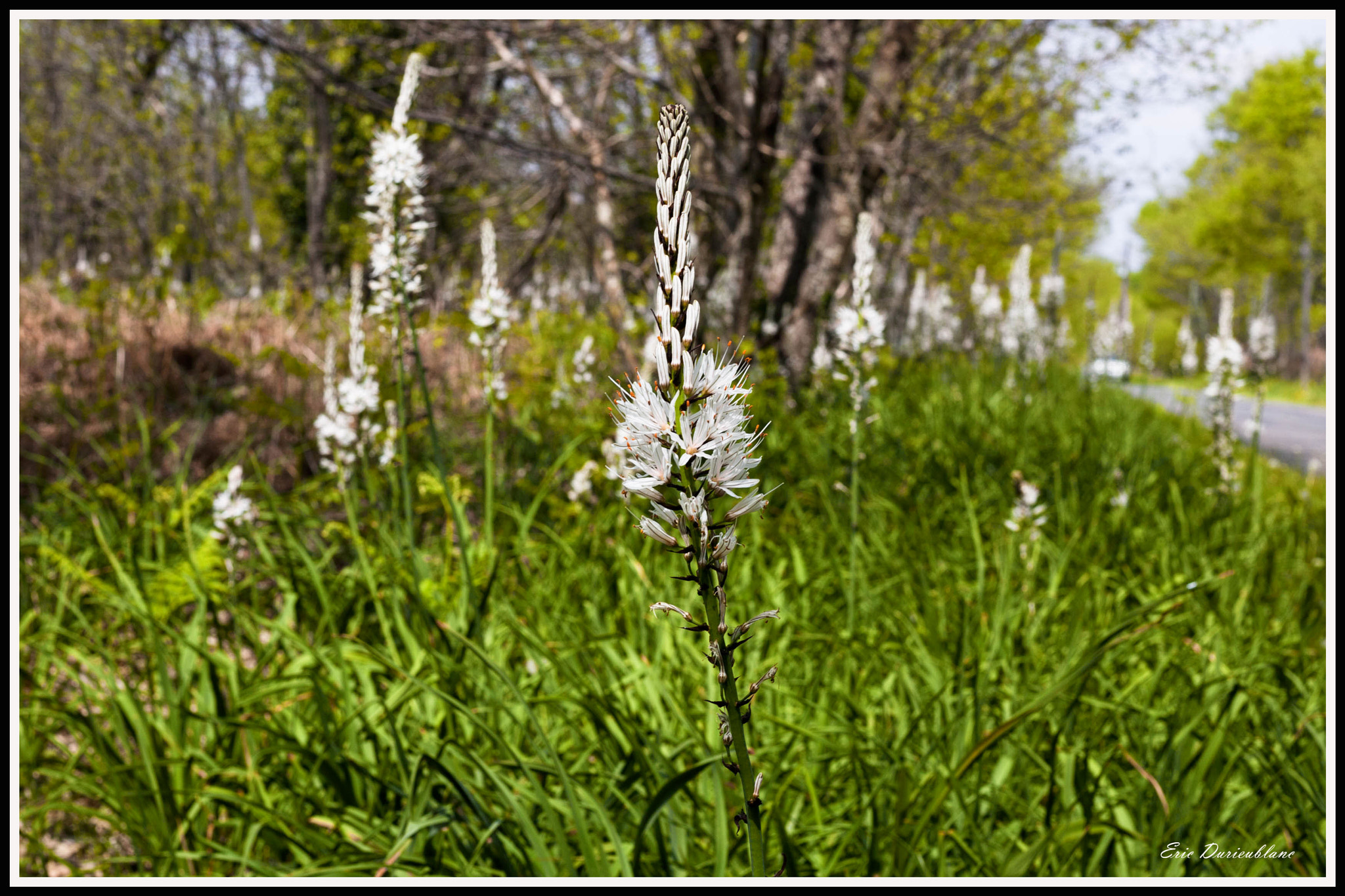 Canon EOS-1D Mark II sample photo