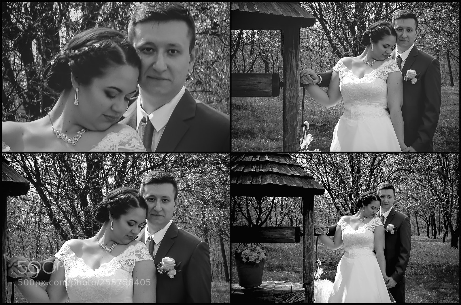 Nikon D7000 sample photo. Edit photography