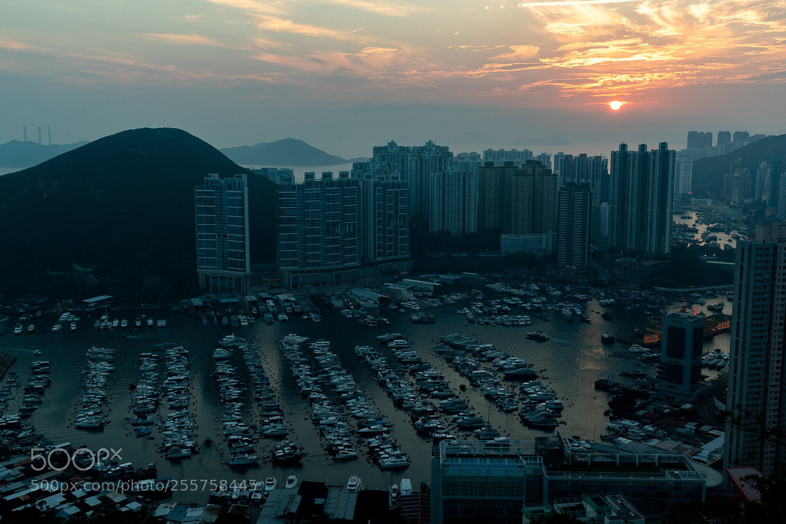 Canon EOS-1D X Mark II sample photo. Untitled photography