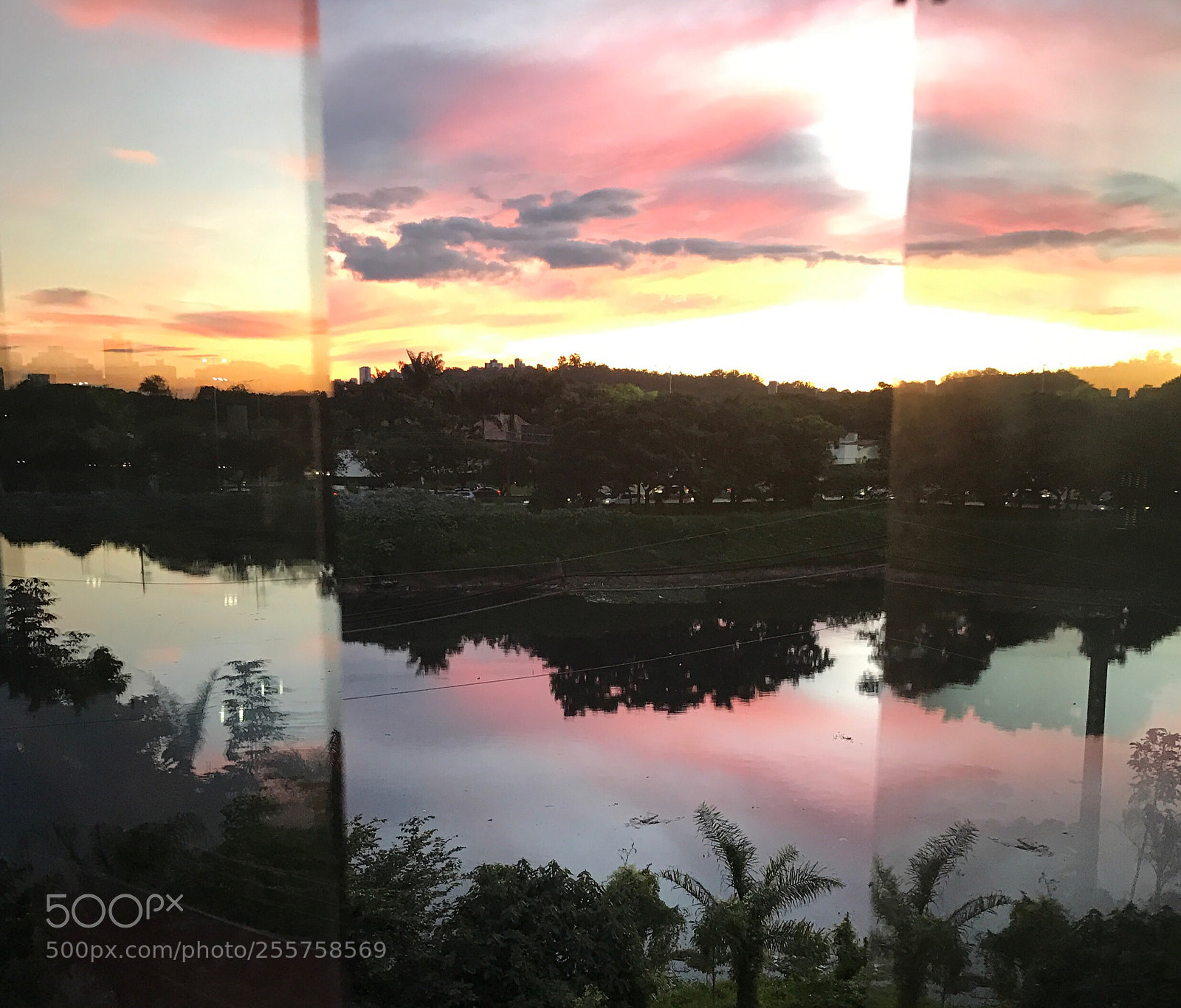 Apple iPhone 7 Plus sample photo. Untitled photography