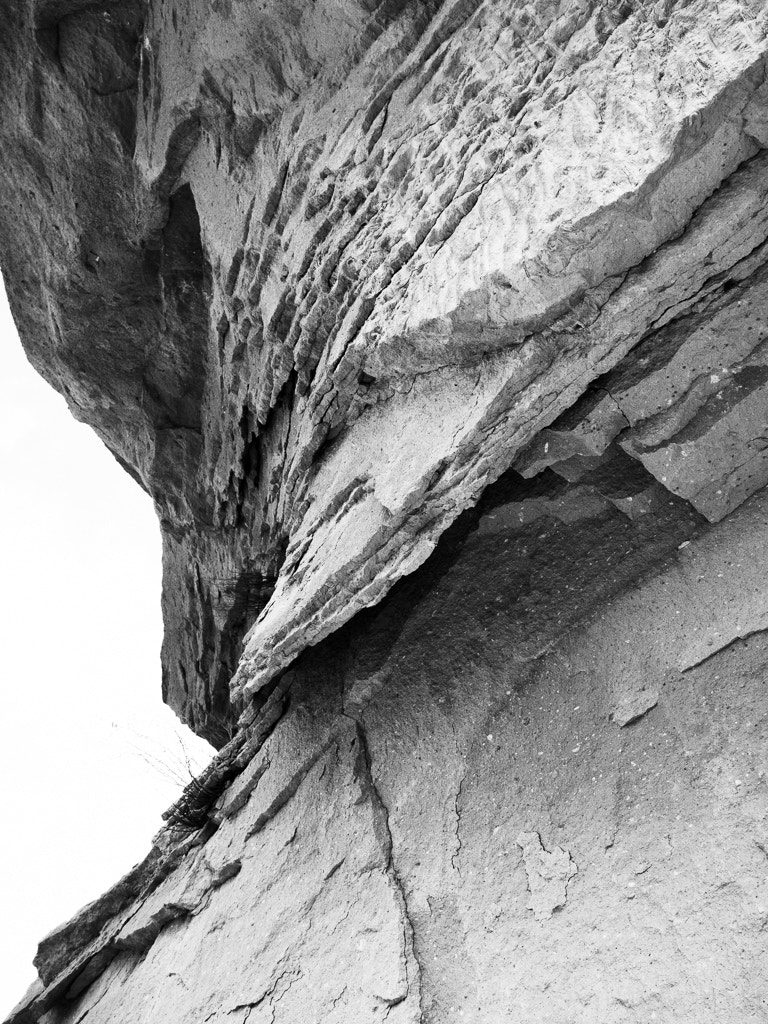 Olympus PEN E-PM2 sample photo. Untitled photography