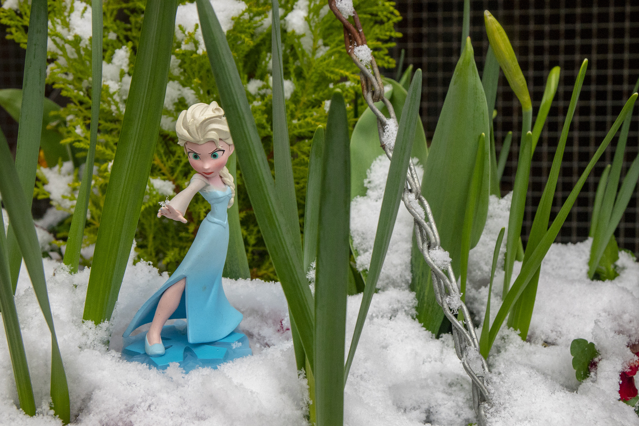 Sony Cyber-shot DSC-RX10 II sample photo. Now stop photography