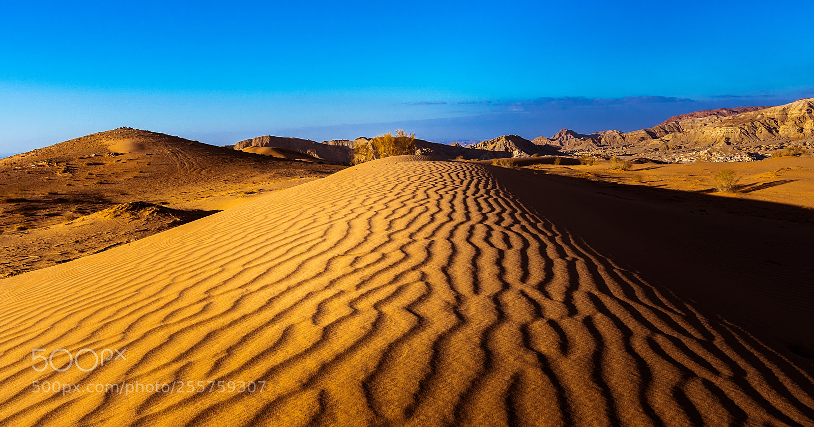 Sony ILCA-77M2 sample photo. Wrinkled sand photography