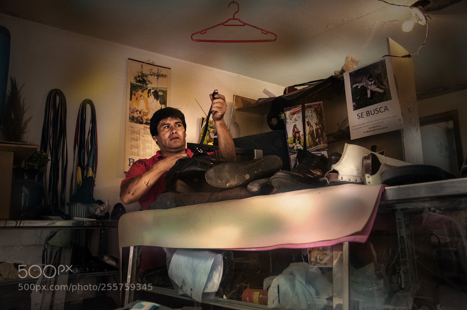 Nikon D5100 sample photo. Mo photography