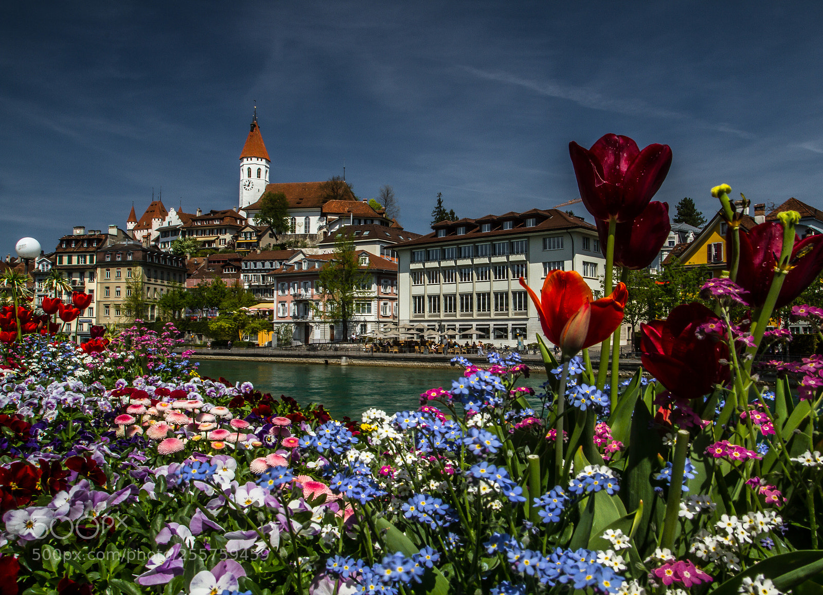 Canon EOS 7D sample photo. Postcard from switzerland photography