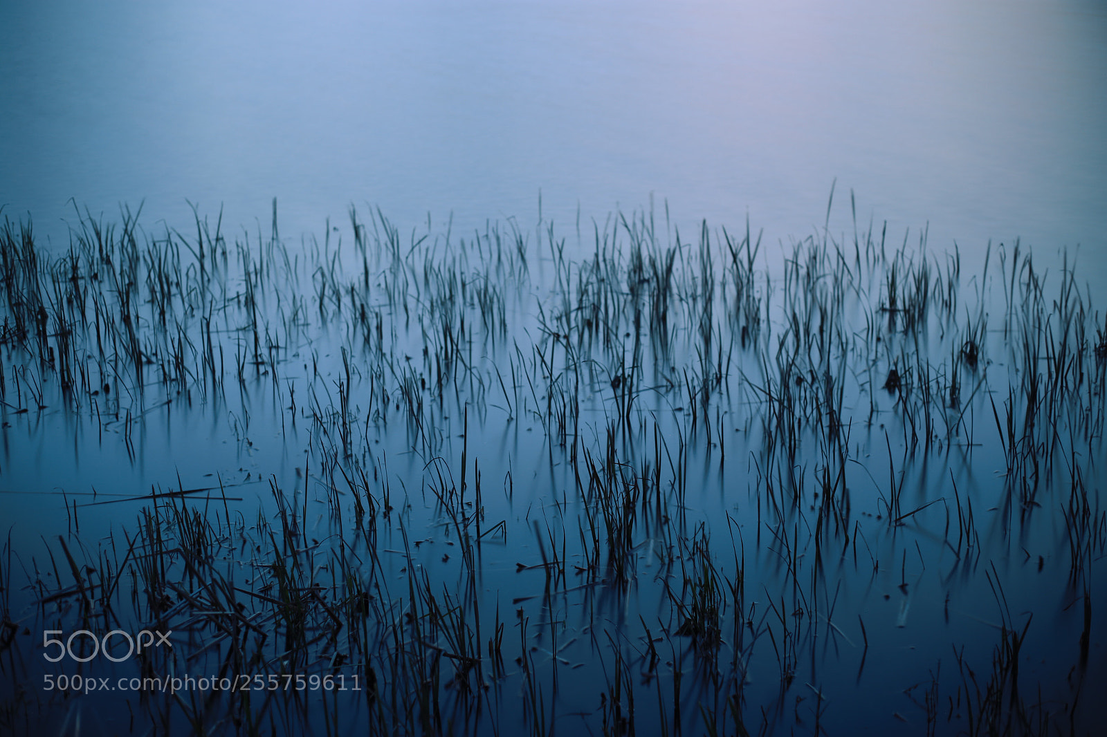 Canon EOS 6D sample photo. River
 photography