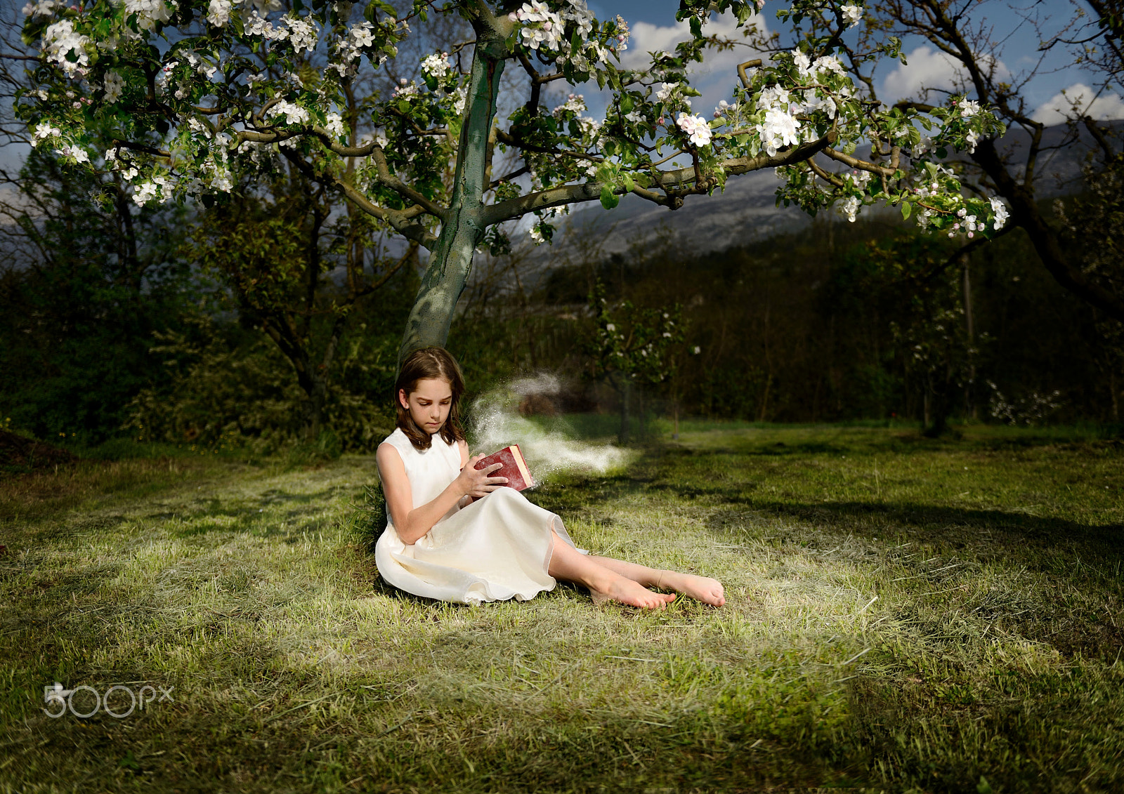 Nikon AF-S Nikkor 24-70mm F2.8G ED sample photo. Il libro della fantasia photography