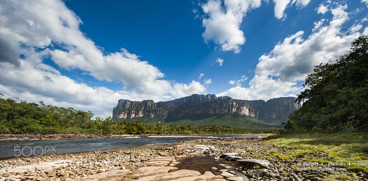 Nikon D700 sample photo. Canaima photography