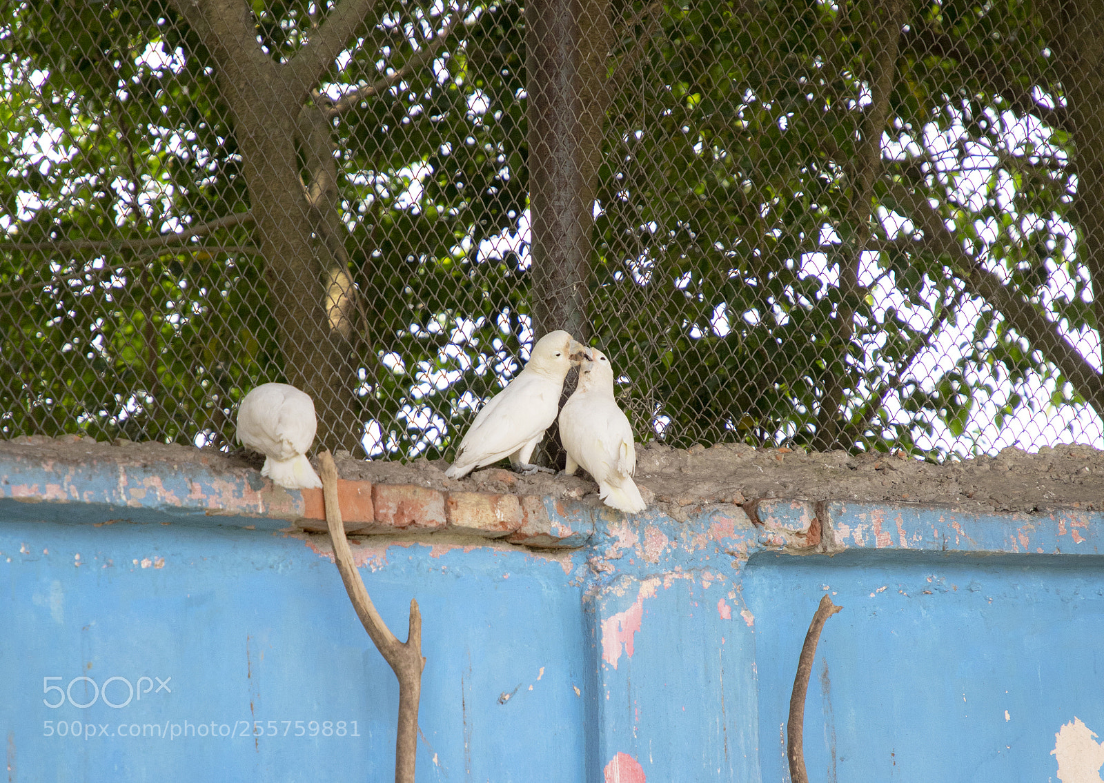 Canon EOS 6D Mark II sample photo. Img_0314_1.jpg photography