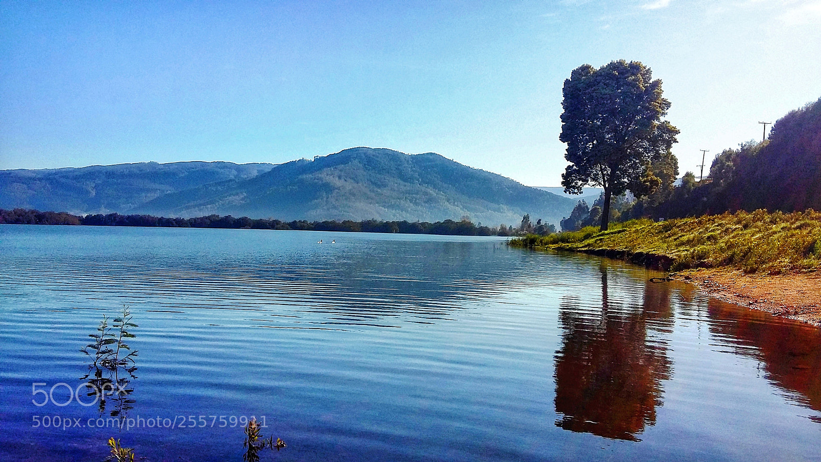 Samsung Galaxy Grand Prime sample photo. Lanalhue lake photography