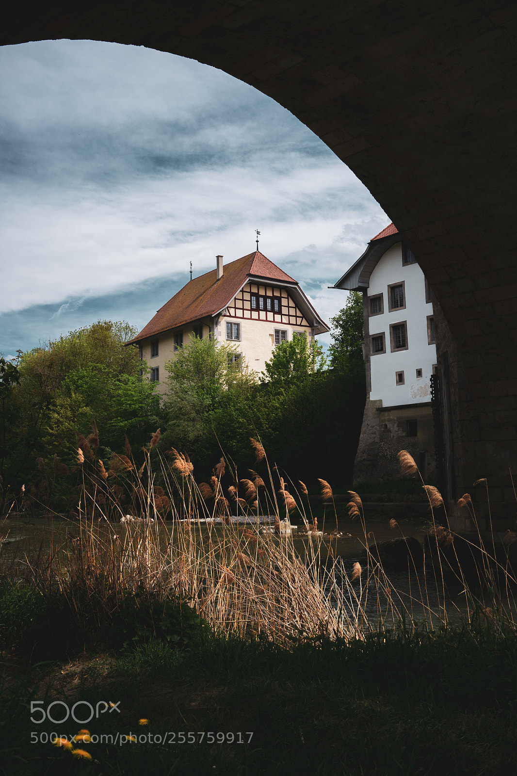 Sony a7 II sample photo. Idyllic walk in downtown photography