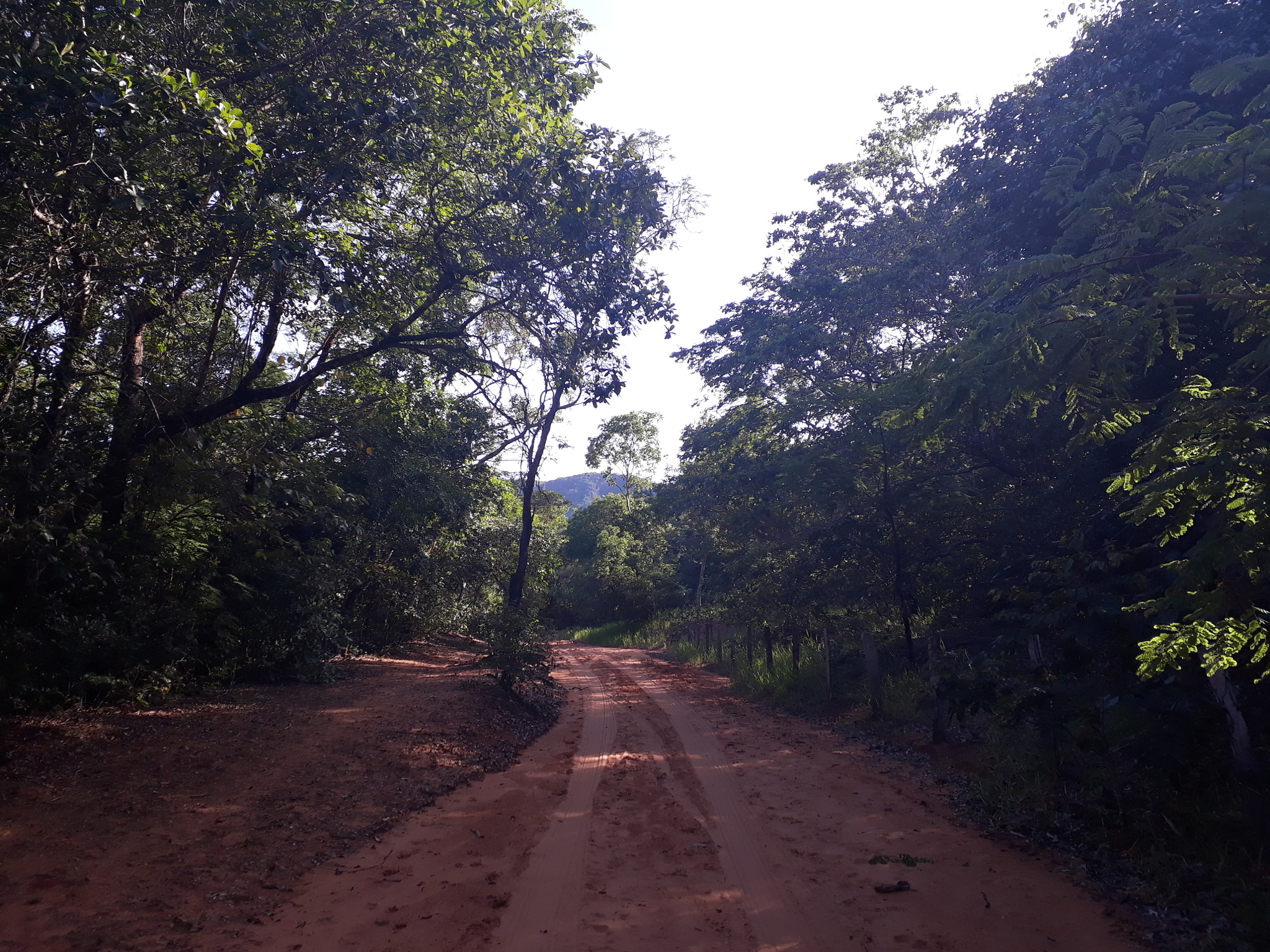 Samsung Galaxy J7 Prime sample photo. Forest path photography