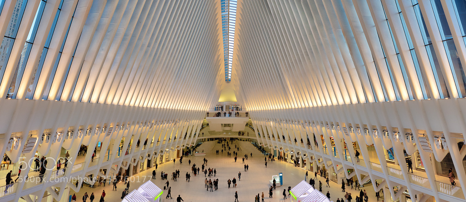 Olympus OM-D E-M1 Mark II sample photo. New york - oculus photography