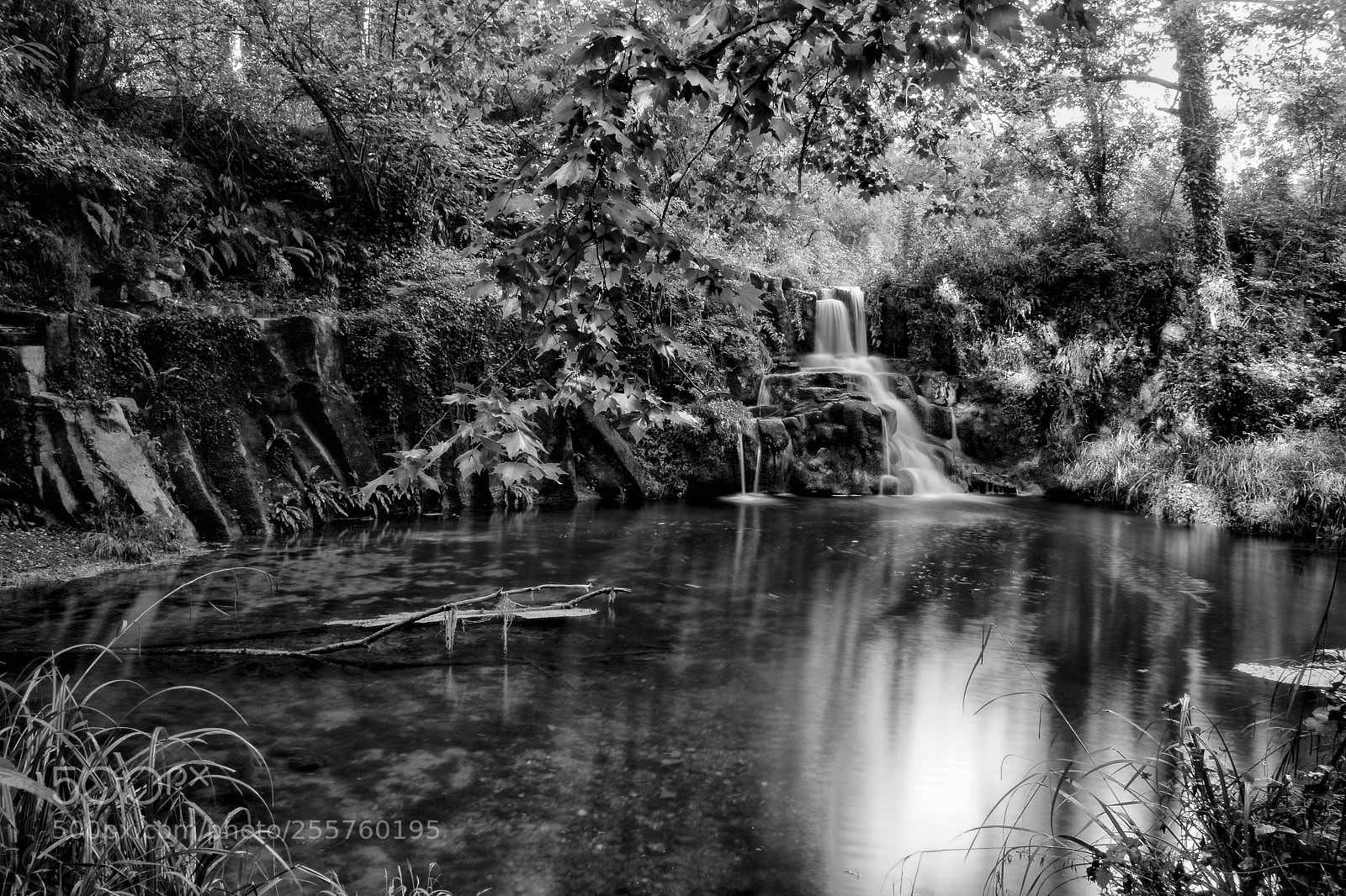 Canon EOS 7D Mark II sample photo. B w sal de photography