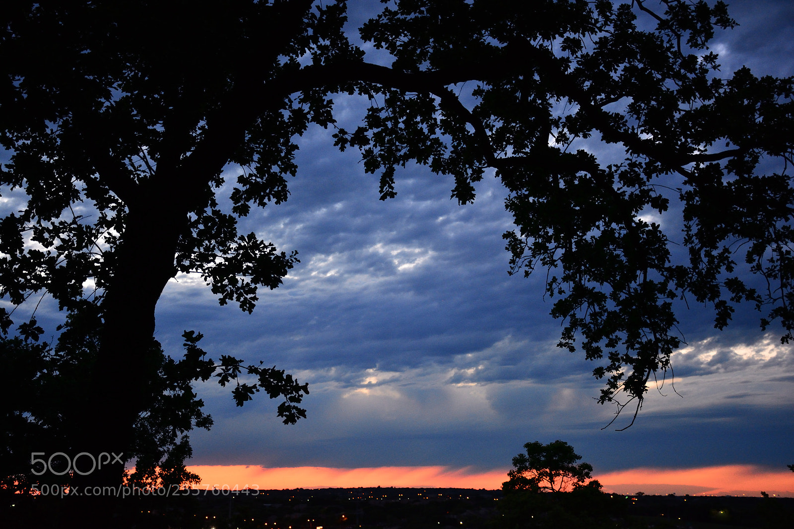 Nikon D7100 sample photo. Sunset in mist photography