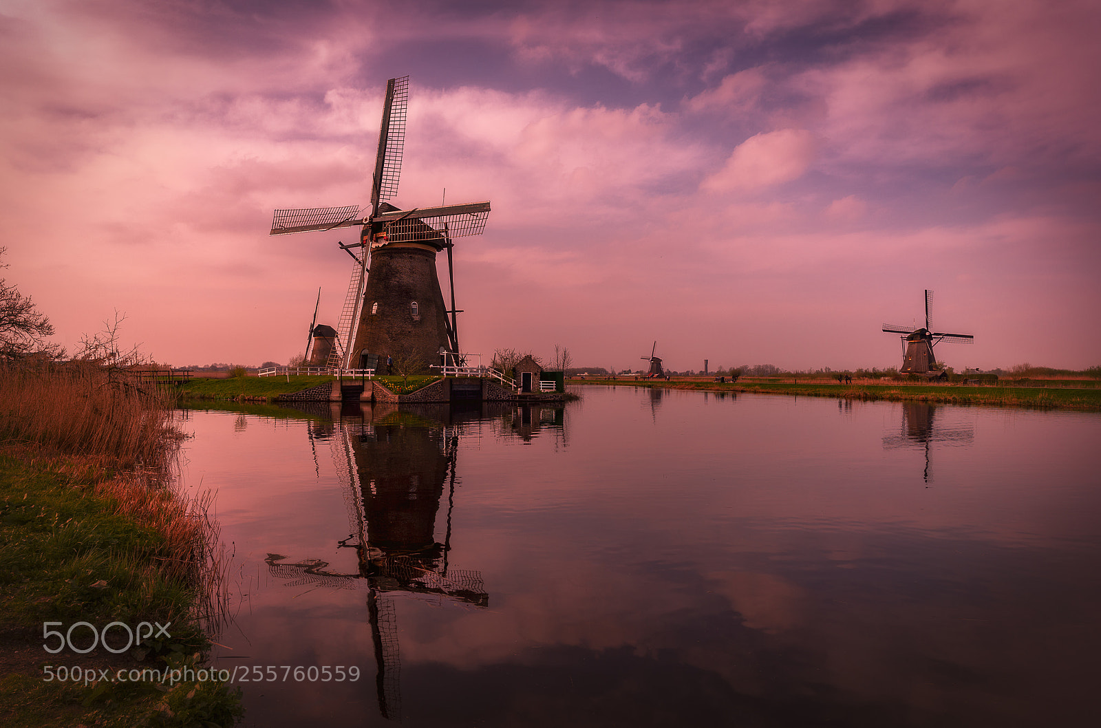 Sony a7R II sample photo. Kinderdijk, holland photography