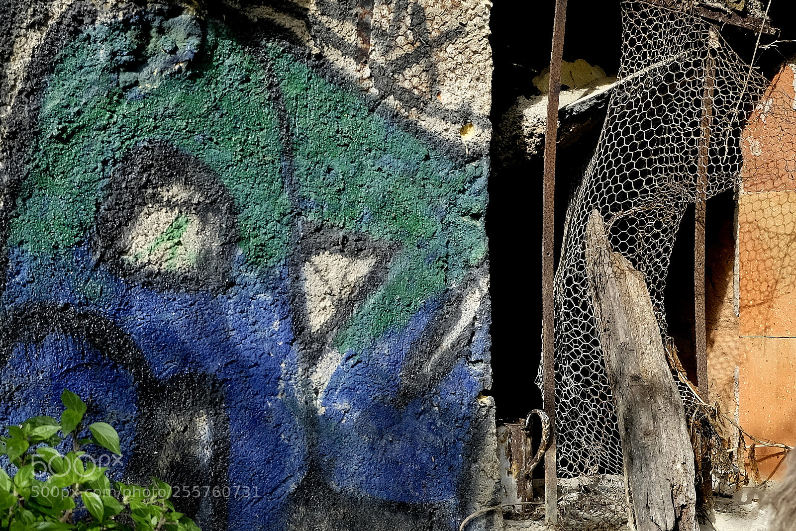 Fujifilm X-T10 sample photo. From a to z photography