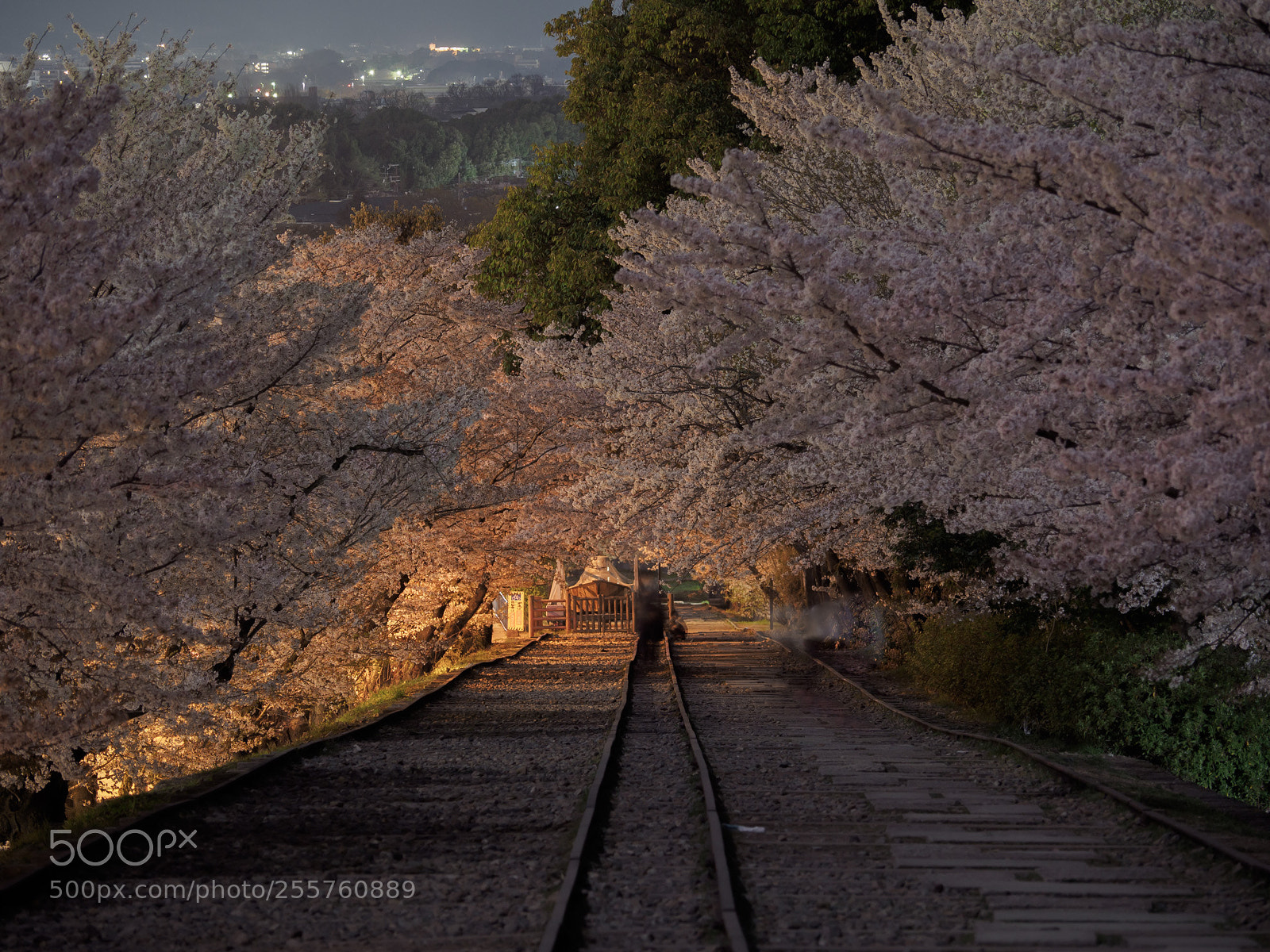 Olympus OM-D E-M5 II sample photo. Keage incline,kyoto photography