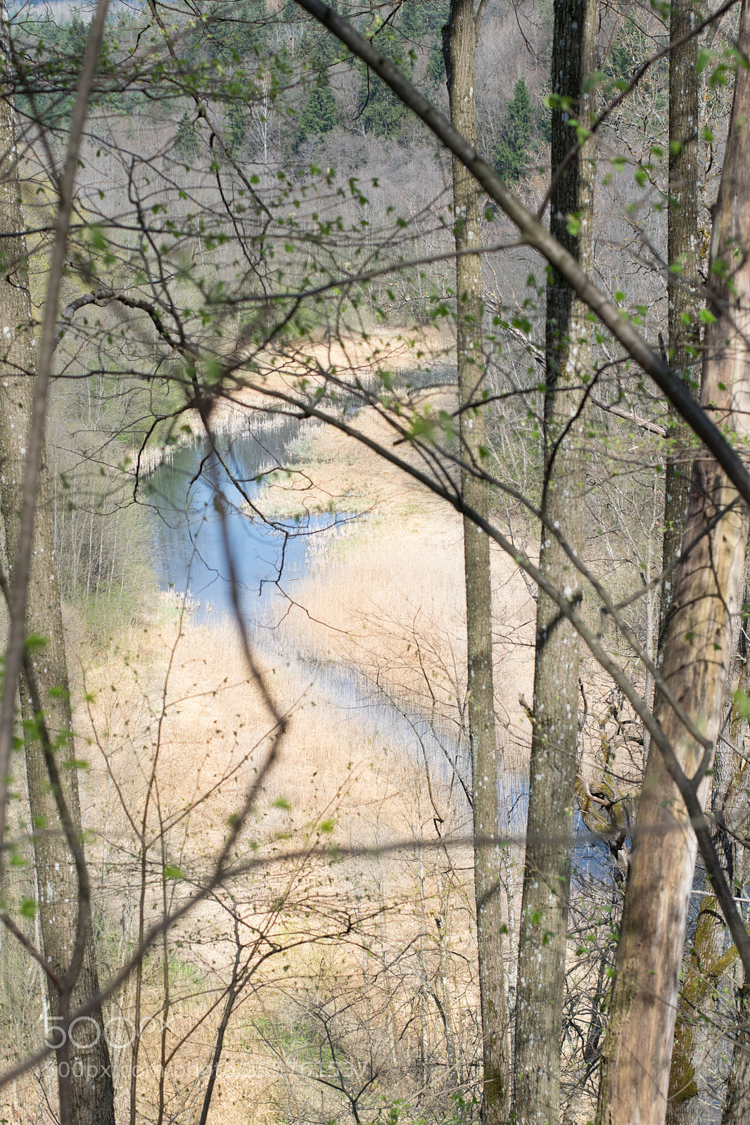 Nikon D3300 sample photo. From above photography