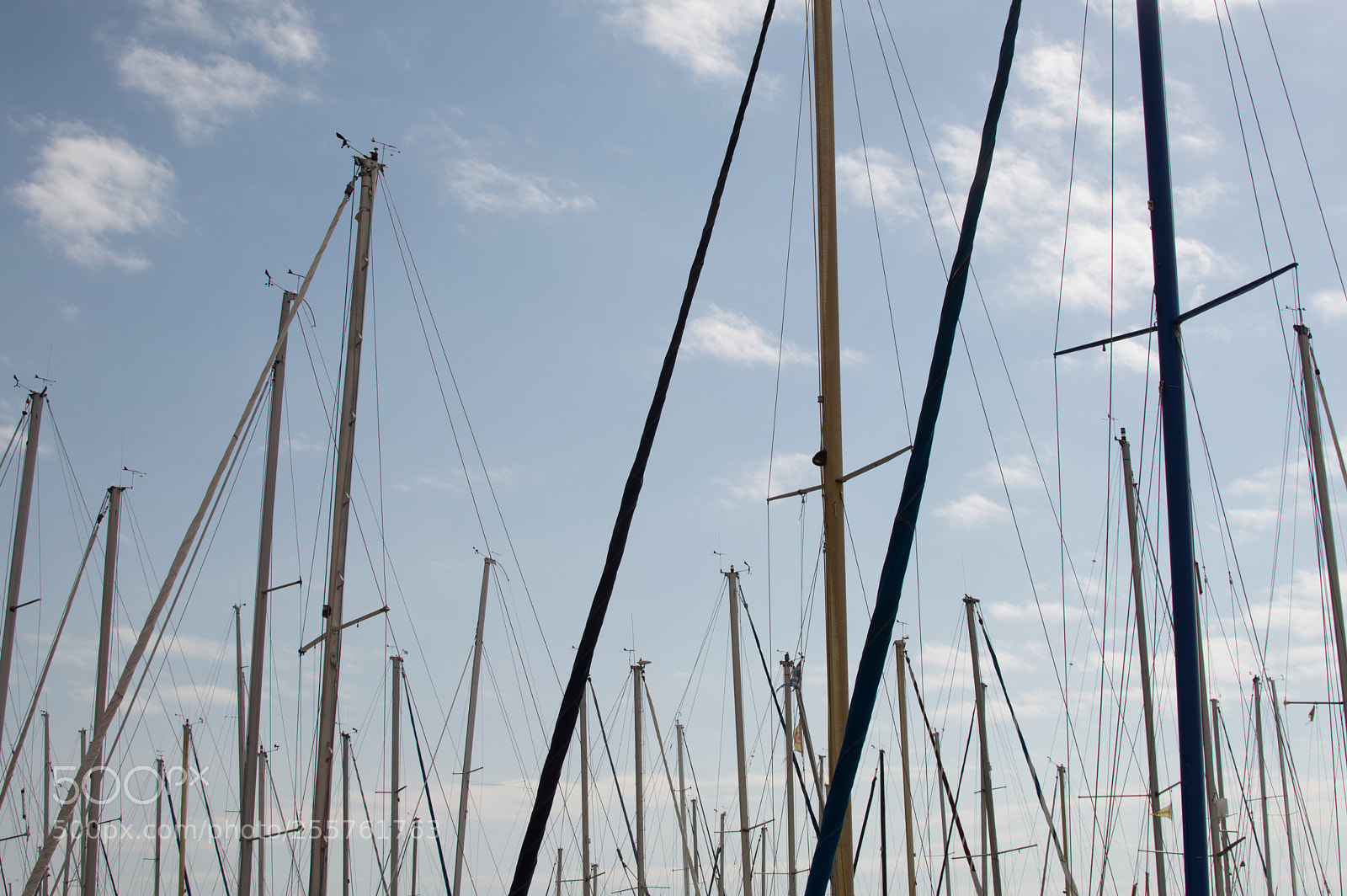 Nikon D3200 sample photo. Sail forest photography