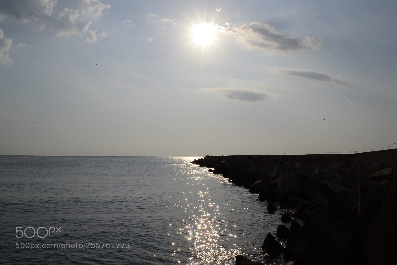 Nikon D3100 sample photo. Sea photography