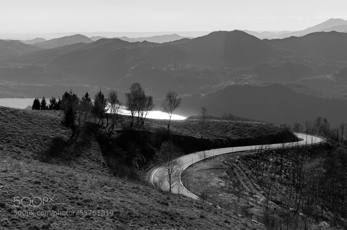 Nikon D3200 sample photo. Untitled photography