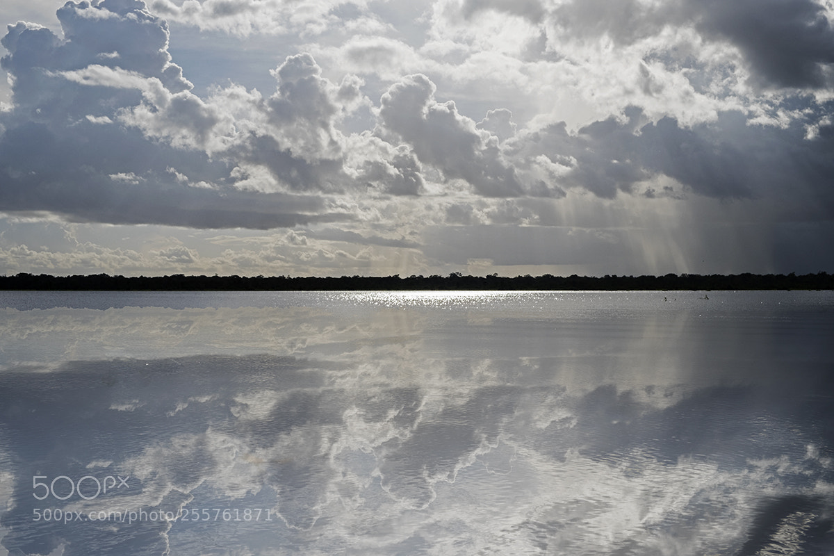 Fujifilm X-T2 sample photo. Lago das onças photography