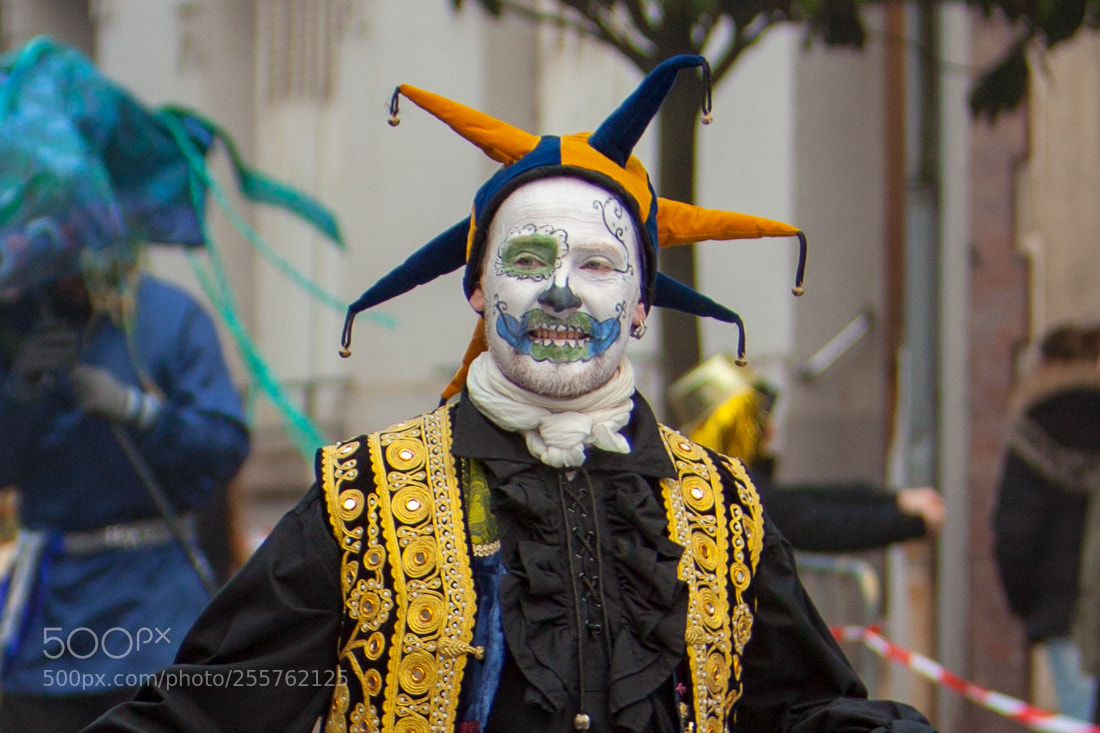 Canon EOS 5D Mark II sample photo. Carnaval les flambarts dreux photography