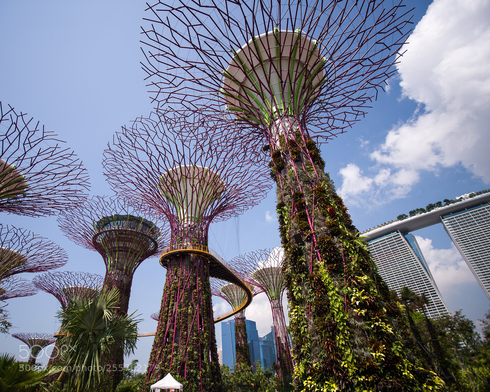 Nikon D600 sample photo. Marina bay sands photography