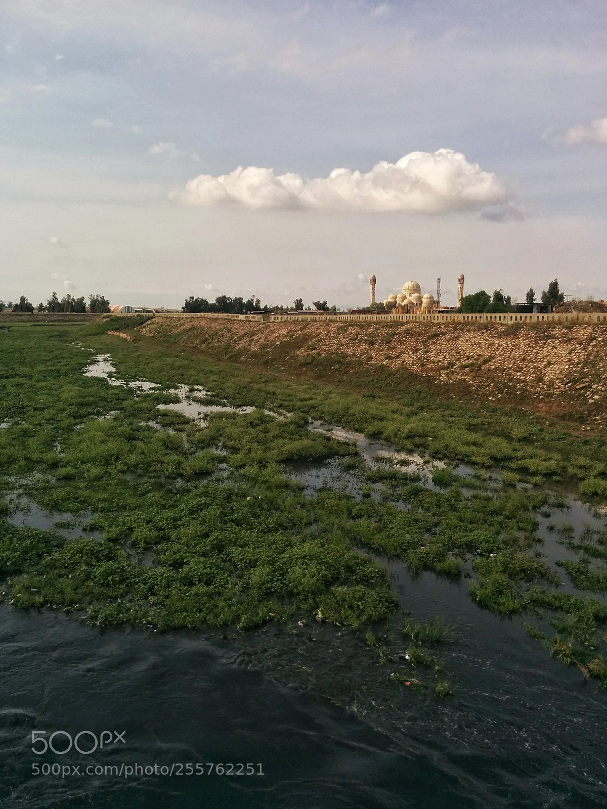 LG Nexus 5 sample photo. Grand-saddam mosque photography