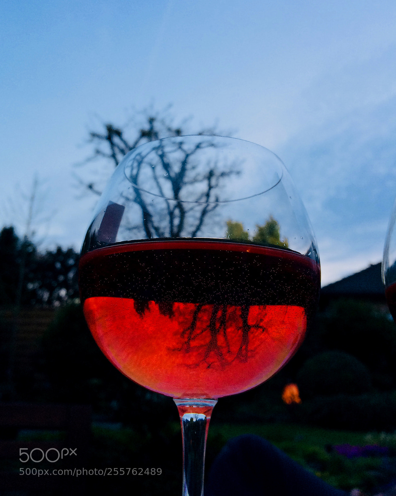 Apple iPhone 5s sample photo. Prost!! photography
