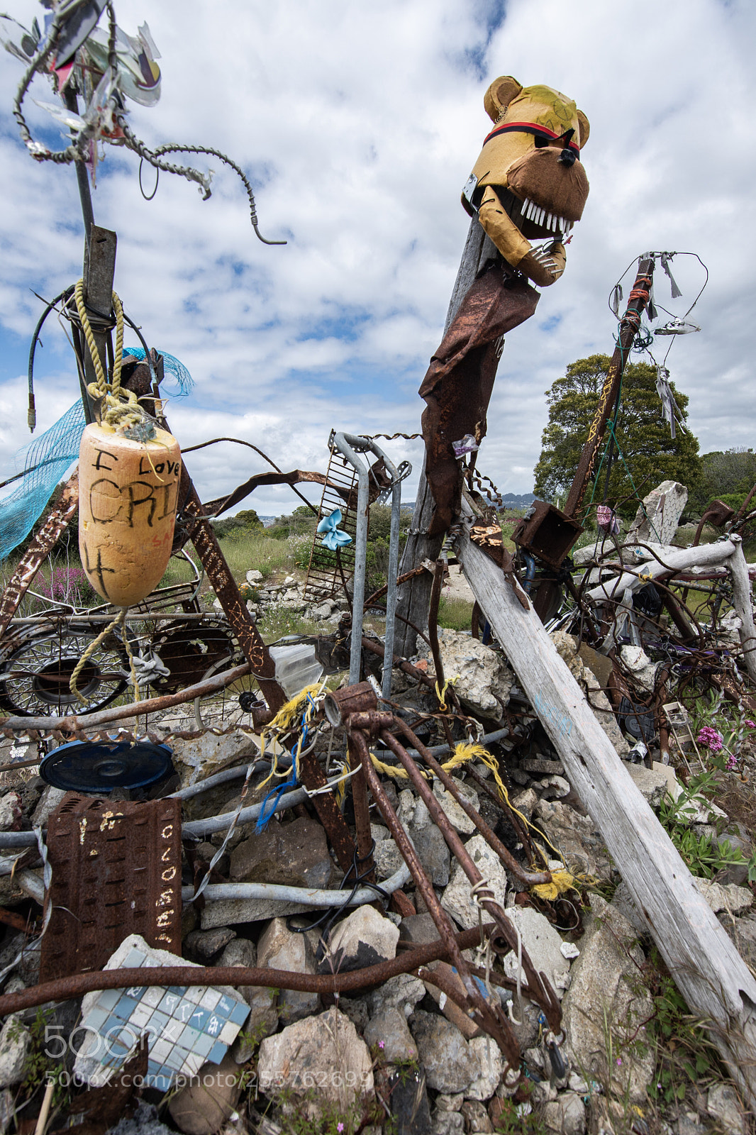 Nikon D500 sample photo. Junk art at the photography