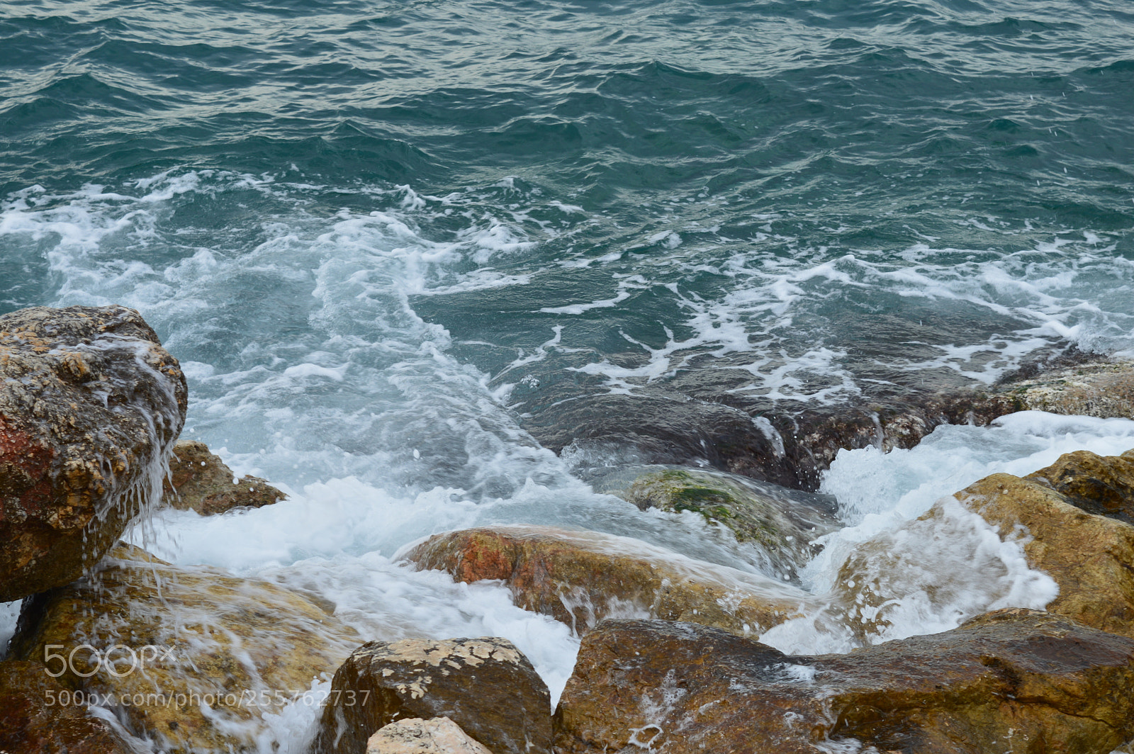 Nikon D3200 sample photo. Wild sea photography