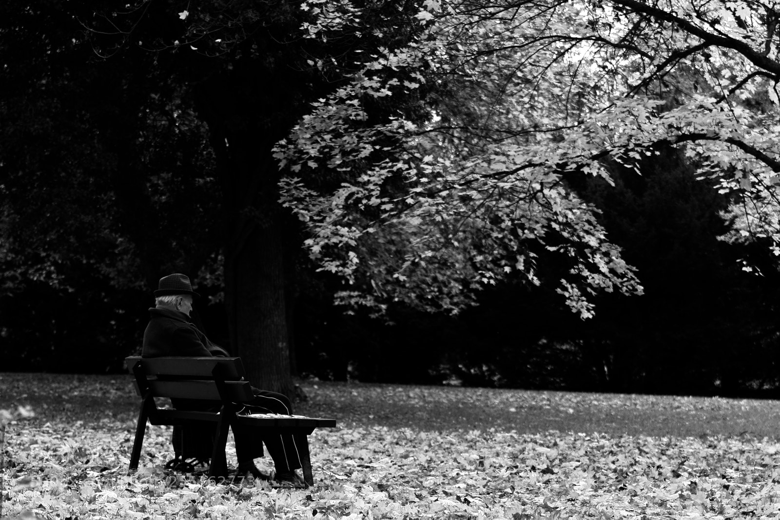 Canon EOS 30D sample photo. Untitled photography