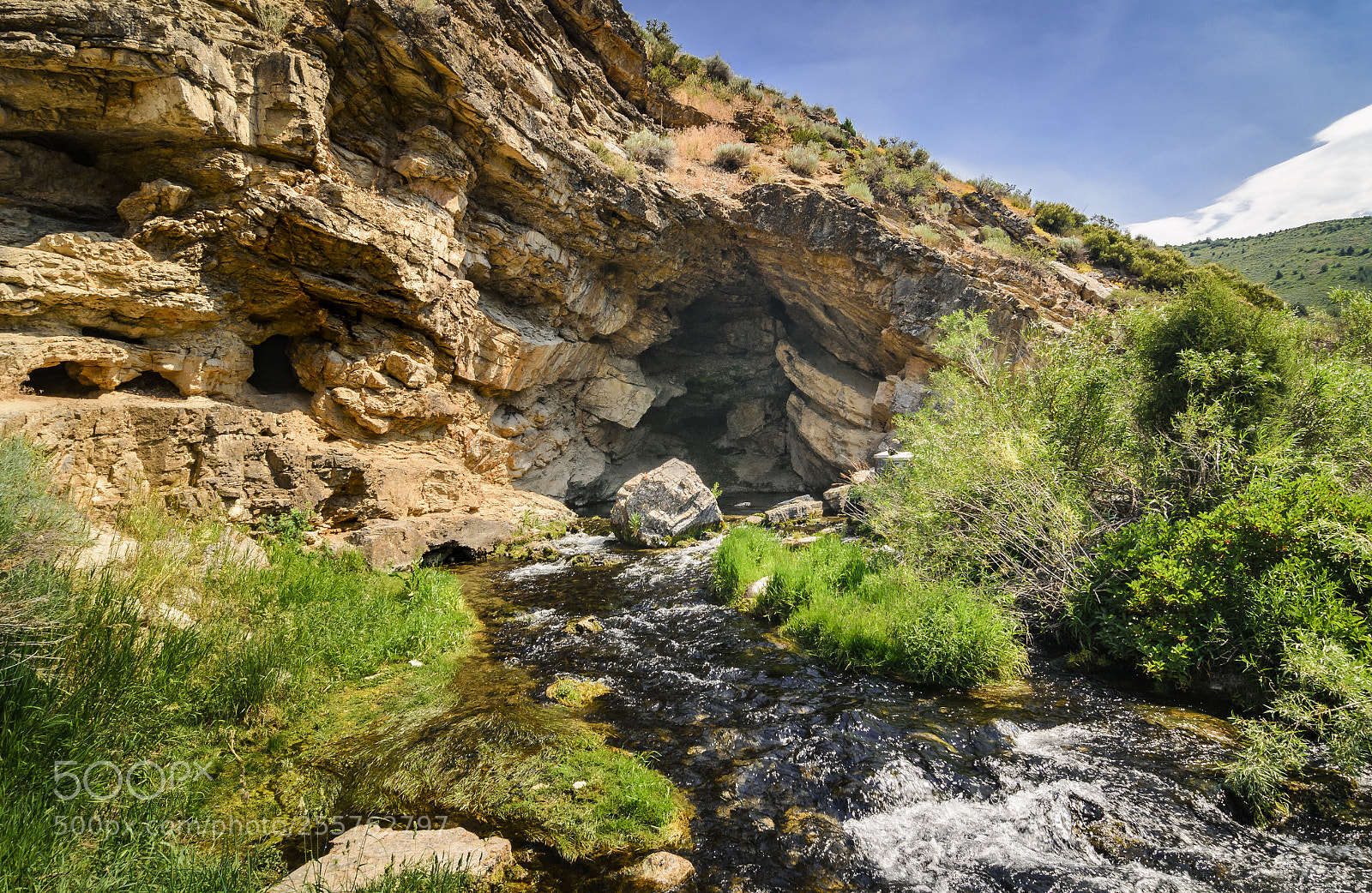 Nikon D7000 sample photo. Ricks spring photography