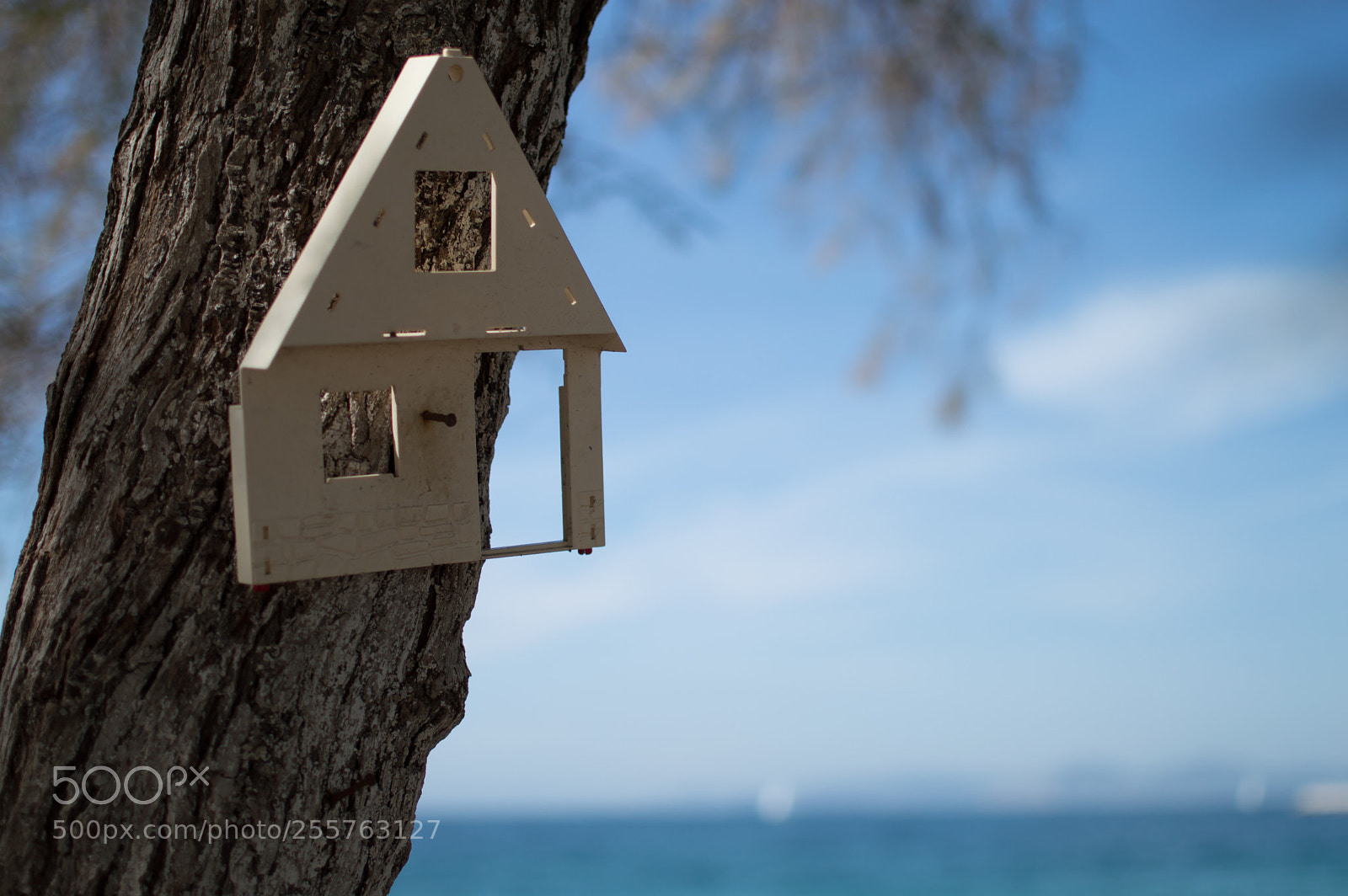 Nikon D3200 sample photo. Tree decoration photography