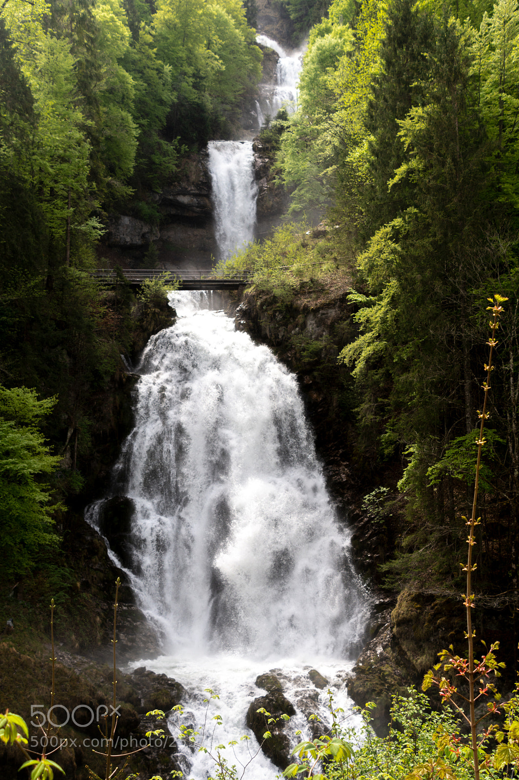 Nikon D7100 sample photo. Flow photography